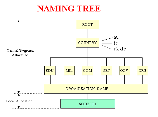 DNS Tree