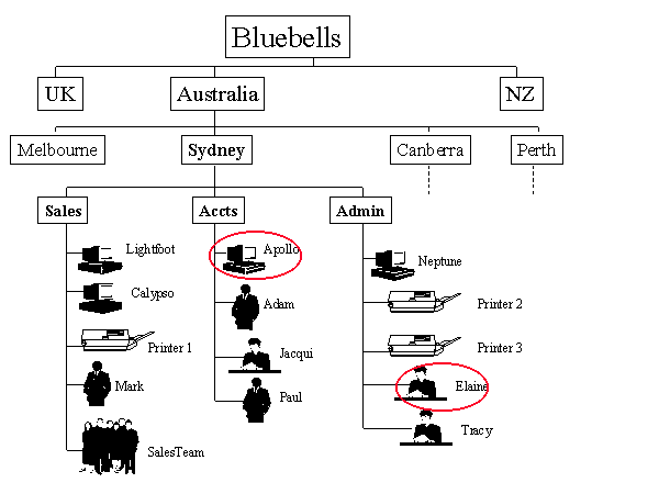 Bluebells NDS Tree